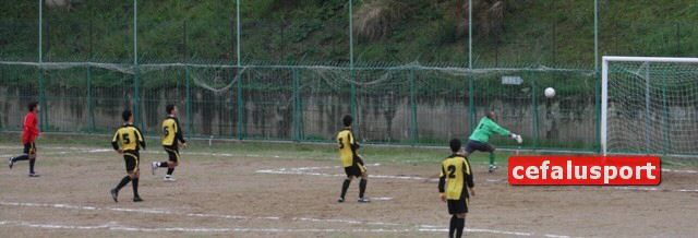 101031_Tiger 258x_tn.jpg